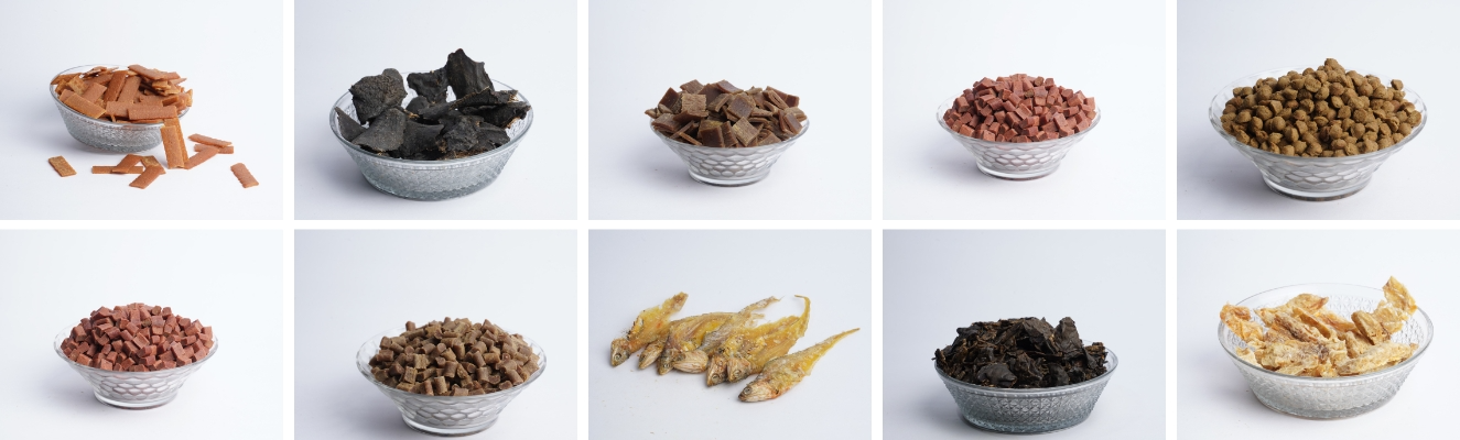 Cat food OEM