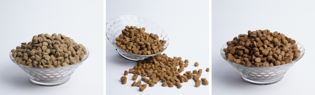 Gravy kibbles oven baked dog food