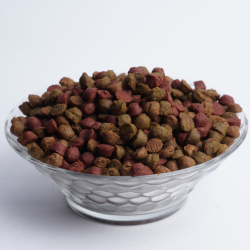 Oven Baked Dog Food